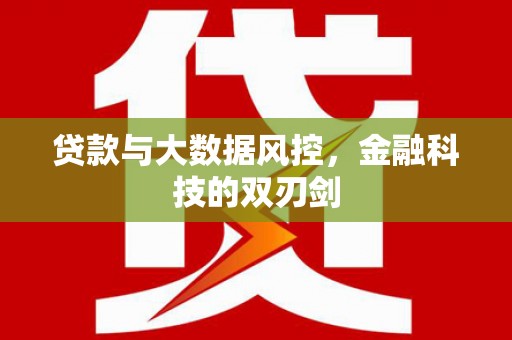 德宏贷款与大数据风控，金融科技的双刃剑