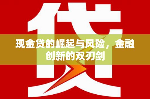 德宏现金贷的崛起与风险，金融创新的双刃剑