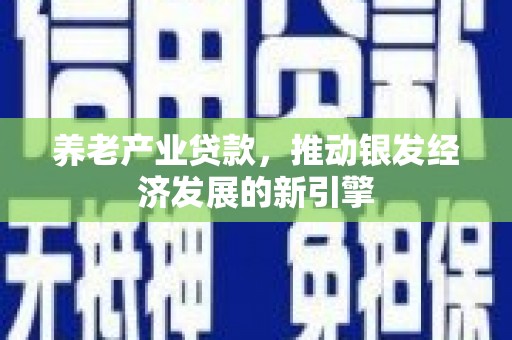 德宏养老产业贷款，推动银发经济发展的新引擎