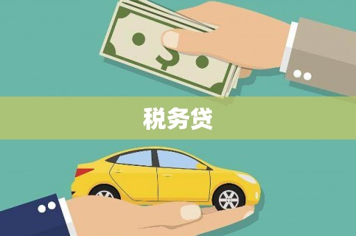 德宏税务贷