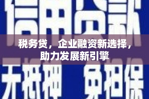 德宏税务贷，企业融资新选择，助力发展新引擎