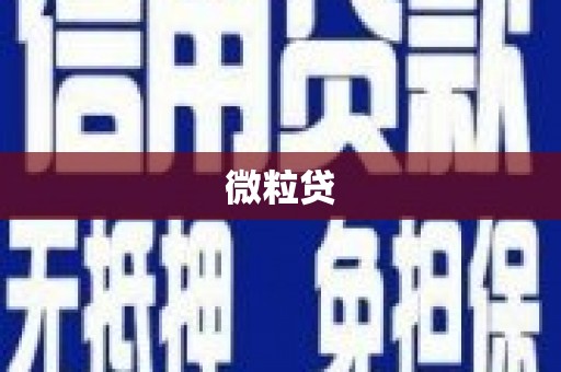 德宏微粒贷