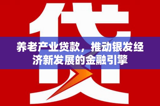 德宏养老产业贷款，推动银发经济新发展的金融引擎