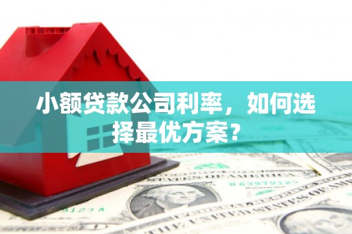 德宏小额贷款公司利率，如何选择最优方案？