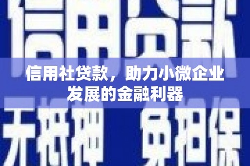 德宏信用社贷款，助力小微企业发展的金融利器