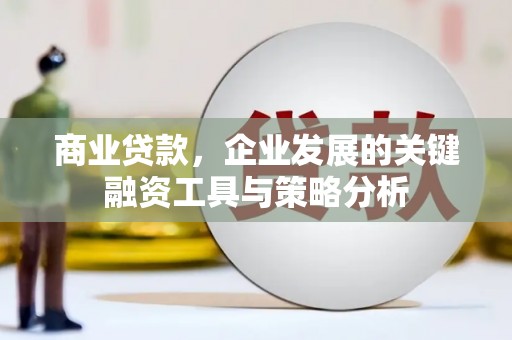 德宏商业贷款，企业发展的关键融资工具与策略分析