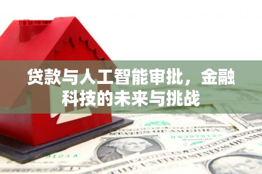 德宏贷款与人工智能审批，金融科技的未来与挑战