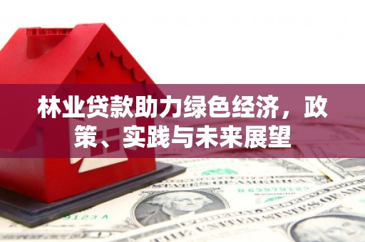 德宏林业贷款助力绿色经济，政策、实践与未来展望
