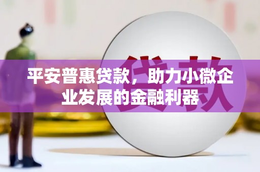 德宏平安普惠贷款，助力小微企业发展的金融利器