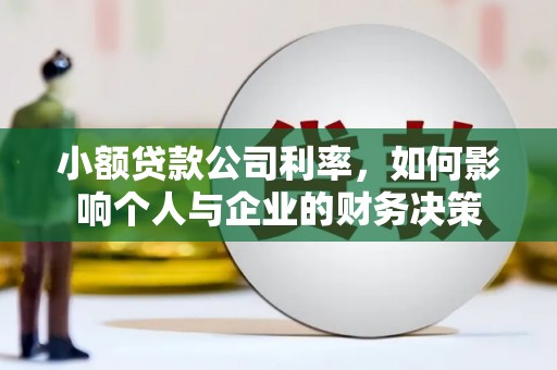 德宏小额贷款公司利率，如何影响个人与企业的财务决策