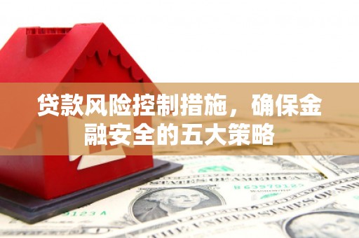 德宏贷款风险控制措施，确保金融安全的五大策略