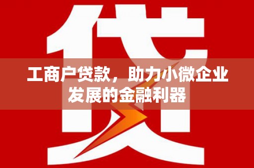 德宏工商户贷款，助力小微企业发展的金融利器