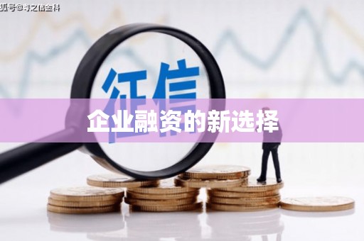 德宏企业融资的新选择