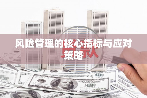 德宏风险管理的核心指标与应对策略