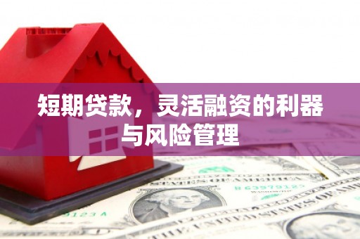 德宏短期贷款，灵活融资的利器与风险管理