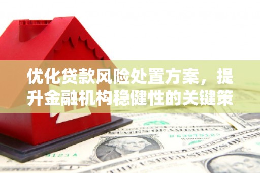 德宏优化贷款风险处置方案，提升金融机构稳健性的关键策略