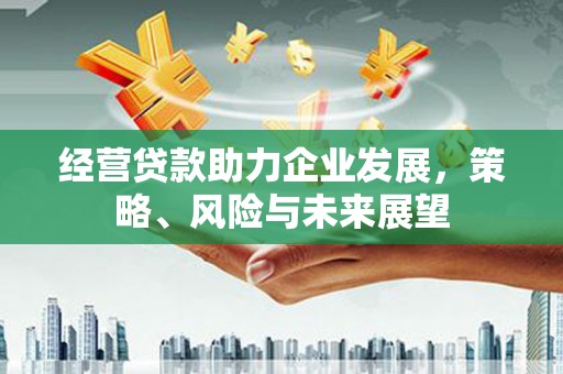 德宏经营贷款助力企业发展，策略、风险与未来展望