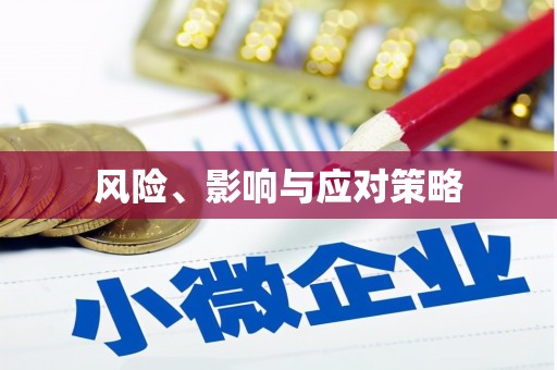 德宏风险、影响与应对策略