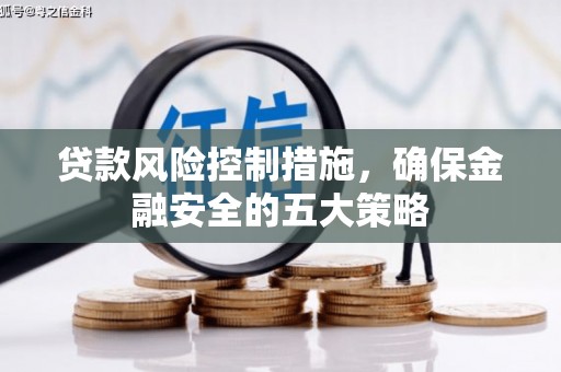 德宏贷款风险控制措施，确保金融安全的五大策略