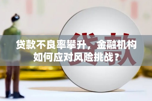 德宏贷款不良率攀升，金融机构如何应对风险挑战？