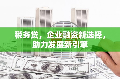 德宏税务贷，企业融资新选择，助力发展新引擎