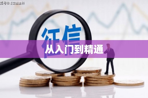德宏从入门到精通