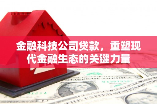 德宏金融科技公司贷款，重塑现代金融生态的关键力量