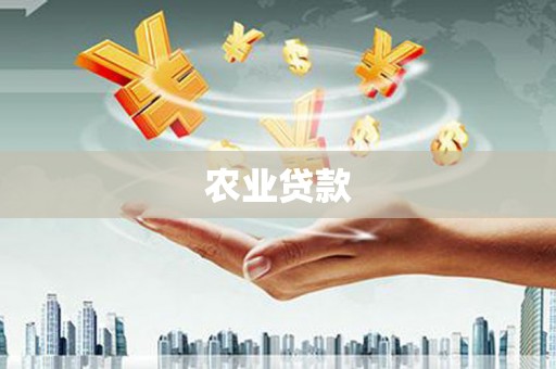 德宏农业贷款