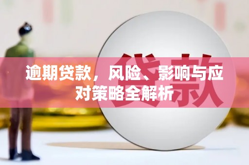 德宏逾期贷款，风险、影响与应对策略全解析