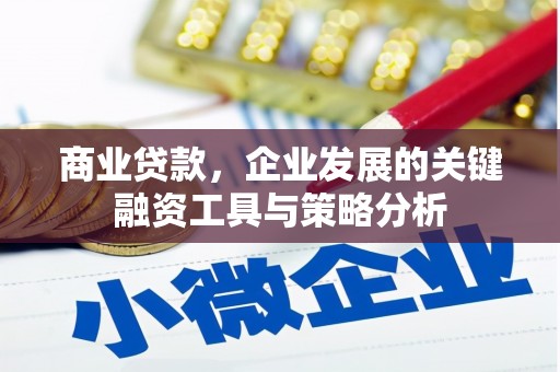 德宏商业贷款，企业发展的关键融资工具与策略分析