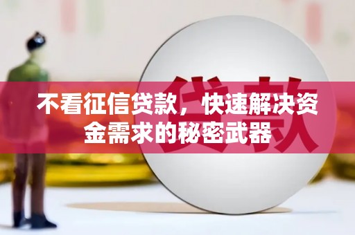 德宏不看征信贷款，快速解决资金需求的秘密武器