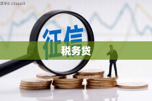 德宏税务贷
