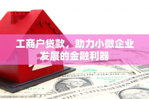 德宏工商户贷款，助力小微企业发展的金融利器