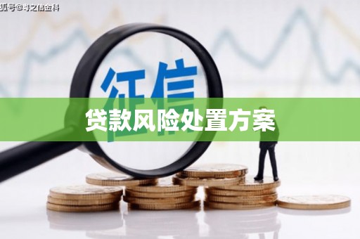 德宏贷款风险处置方案