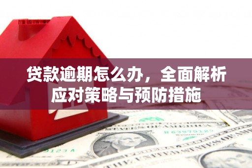 德宏贷款逾期怎么办，全面解析应对策略与预防措施