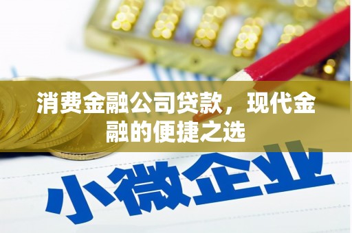 德宏消费金融公司贷款，现代金融的便捷之选