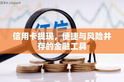 德宏信用卡提现，便捷与风险并存的金融工具