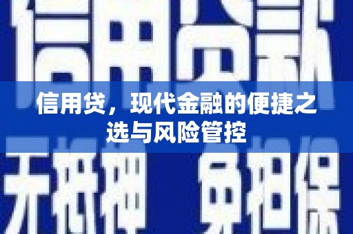 德宏信用贷，现代金融的便捷之选与风险管控