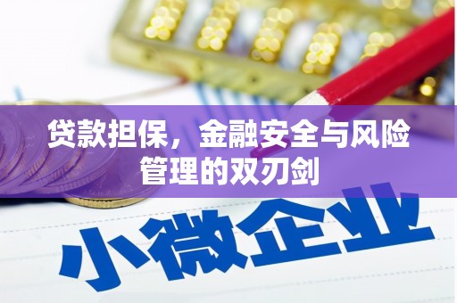 德宏贷款担保，金融安全与风险管理的双刃剑