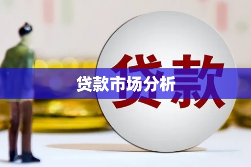 德宏贷款市场分析