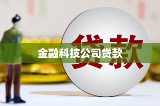 德宏金融科技公司贷款