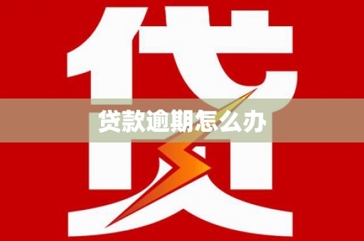 德宏贷款逾期怎么办