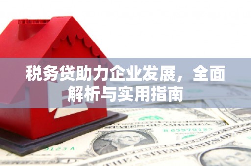 德宏税务贷助力企业发展，全面解析与实用指南