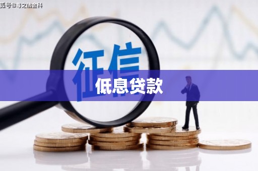 德宏低息贷款