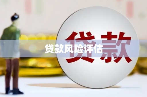 德宏贷款风险评估