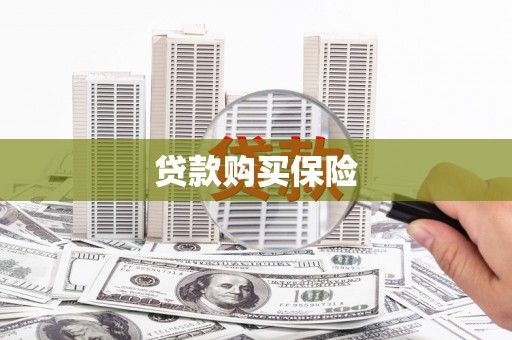 德宏贷款购买保险