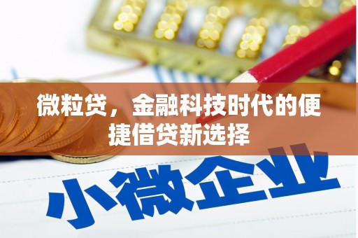 德宏微粒贷，金融科技时代的便捷借贷新选择
