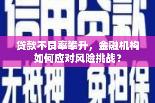 德宏贷款不良率攀升，金融机构如何应对风险挑战？