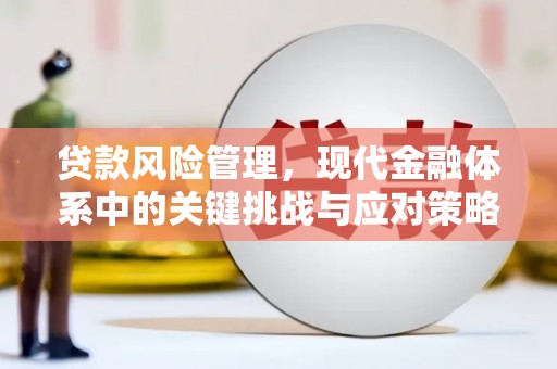 德宏贷款风险管理，现代金融体系中的关键挑战与应对策略