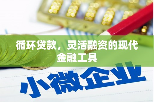 德宏循环贷款，灵活融资的现代金融工具